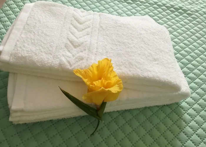 Casa de hóspedes Baixinho